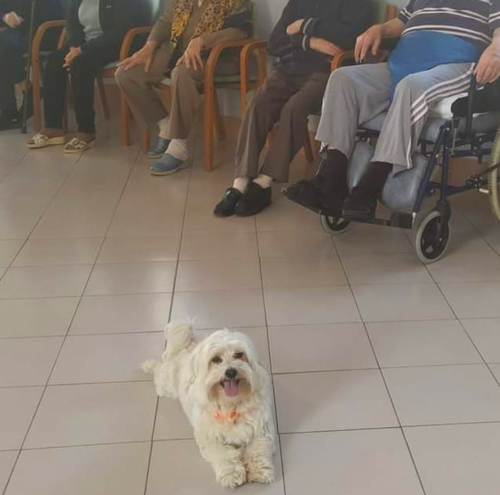 Pet therapy con gli anziani della casa di riposo De Maria  a Neive